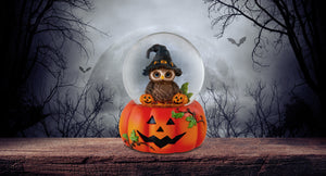 Halloween Owl Musical Water Globe