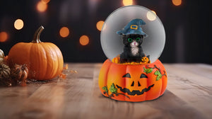 Halloween Cat Musical Water Globe